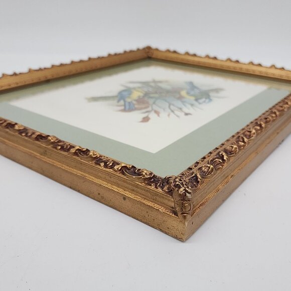 Vintage Framed Bird Illustration by Vortigern Gold Wooden Ornate Frame 13x10" - Picture 8 of 11
